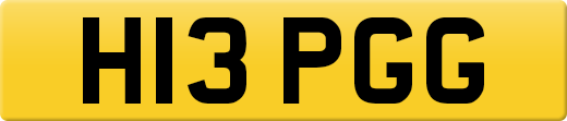 H13PGG